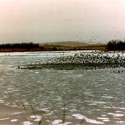 Lake Ilo National Wildlife Refuge