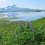 Izembek National Wildlife Refuge