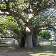 Queen's Park, Bridgetown, Barbados