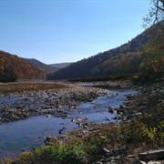 Savage River State Forest, Maryland