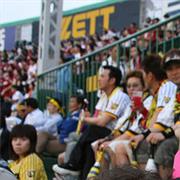 Attend a Japanese Baseball Game