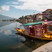 Dal Lake