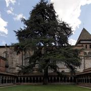 Routes of Santiago De Compostela in France