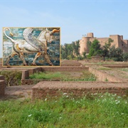 The Palace of Darius at Susa