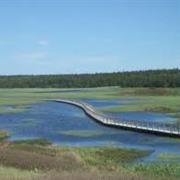 Prince Edsward Island National Park