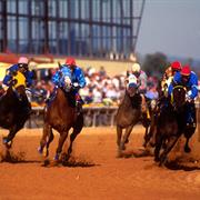 Pick a Winning Pony at Hollywood Casino, Charles Town
