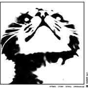 Стук Бамбука В XI Часов - Лёгкое Дело Холод