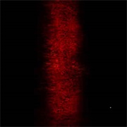 Paul Jebanasam - Rites