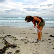Beachcombing