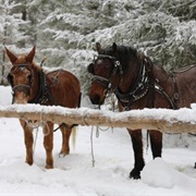 Happy Trails Horse Adventures (Cle Elum, Washington)