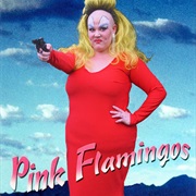 Pink Flamingos