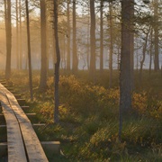 Lahemaa National Park