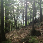 Horse Guard State Park, Connecticut