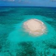 Sand Cay Great Barrier Reef