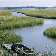Supawna Meadows National Wildlife Refuge