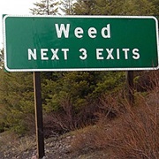 Weed