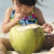 Drink Directly Out of a Coconut