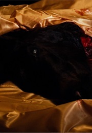 The Horse Head, the Godfather (1972)