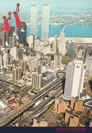 Beauty Was the Case That They Gave Me (Mark Leidner)