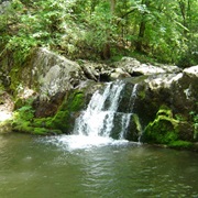 Jefferson National Forest