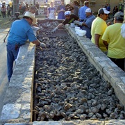 Oyster Bake