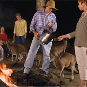 Cairns Tropical Zoo and Cairns Night Zoo