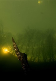 Ežerų Dugne (2014)