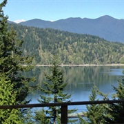 Quilcene, Washington