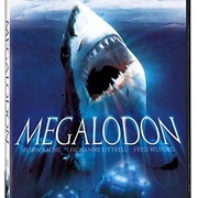 Megalodon