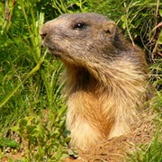 Nizke (Low) Tatras National Park, Slovakia