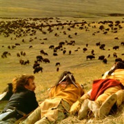 Dances With Wolves