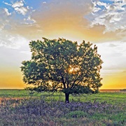 Foss State Park, Oklahoma