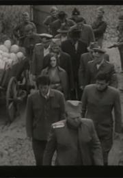 Three (Aleksandar Petrovic)