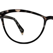 AMD/Low Vision Awareness Month (February)