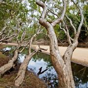 Oyala Thumotang National Park (QLD)