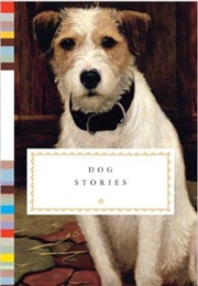 Dog Stories (Diana Tesdell)
