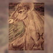 Pisces