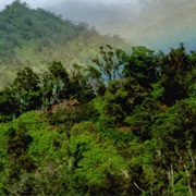 Oahu Forest National Wildlife Refuge