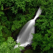 Shepperd's Dell State Natural Area, Oregon
