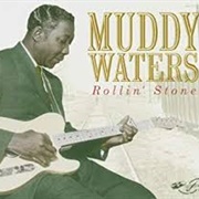 Muddy Waters - Rollin' Stone