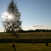 Central Ostrobothnia