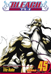 Bleach Volume 45 (Tite Kubo)