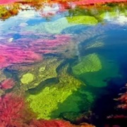 Caño Cristales, Colombia
