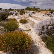 Alexander Morrison National Park (WA)