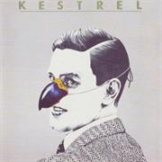Kestrel