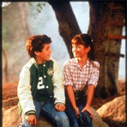 "What Would You Do If I Sang Out of Tune?" (The Wonder Years)