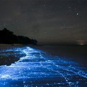 Sea of Stars, Maldives