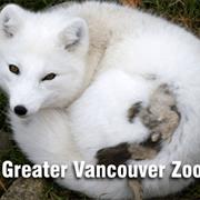 Greater Vancouver Zoo