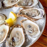 Oysters