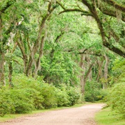 Mississippi Gulf Coast National Heritage Area